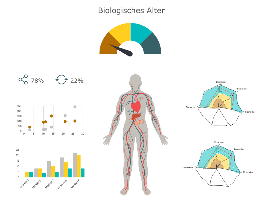 Longevity Dashboard enthält verschiedene Metriken und Biomarker zur Übersicht für den Klienten zu seiner Alterungsgeschwindigkeit